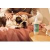 imageMRS MEYERS Clean Day 3 in 1 Dog Shampoo Sweet Chamomile Scent 14ozSweet Chamomile
