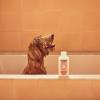 imageMRS MEYERS Clean Day 3 in 1 Dog Shampoo Sweet Chamomile Scent 14ozWhite Peach