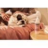 imageMRS MEYERS Clean Day 3 in 1 Dog Shampoo Sweet Chamomile Scent 14ozWhite Peach