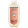 imageMRS MEYERS Clean Day 3 in 1 Dog Shampoo Sweet Chamomile Scent 14ozWhite Peach