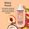 imageMRS MEYERS Clean Day 3 in 1 Dog Shampoo Sweet Chamomile Scent 14ozWhite Peach