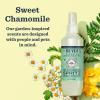 imageMRS MEYERS Clean Day Cat Deodorizing Spray Sweet Chamomile Scent 8ozSweet Chamomile