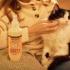 imageMrs Meyers Clean Day Dog Care Kit Includes 3in1 Dog Shampoo  White Peach Dog Deodorizing Spritz  White Peach and Pet Stain ampamp Odor Fighter  Coconut LeafCat