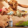 imageMrs Meyers Clean Day Dog Care Kit Includes 3in1 Dog Shampoo  White Peach Dog Deodorizing Spritz  White Peach and Pet Stain ampamp Odor Fighter  Coconut LeafCleaning