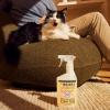 imageMrs Meyers Clean Day Dog Care Kit Includes 3in1 Dog Shampoo  White Peach Dog Deodorizing Spritz  White Peach and Pet Stain ampamp Odor Fighter  Coconut LeafCat