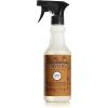imageMRS MEYERS CLEAN DAY AllPurpose Cleaner Spray Apple Cider 16 Fl ozAcorn Spice