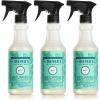 imageMRS MEYERS CLEAN DAY AllPurpose Cleaner Spray Limited Edition Mint 16 fl oz  Pack of 3Mint