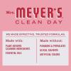 imageMRS MEYERS CLEAN DAY AllPurpose Cleaner Spray Limited Edition Peppermint 16 fl ozPeppermint