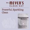 imageMRS MEYERS CLEAN DAY Automatic Dishwasher Pods Lavender 20 Count