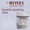 imageMRS MEYERS CLEAN DAY Automatic Dishwasher Pods Lavender 20 Count Pack of 6