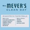 imageMRS MEYERS CLEAN DAY Body Lotion for Dry Skin NonGreasy Moisturizer Made with Essential Oils Rain Water 465 oz Pack of 3Rain Water