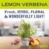 imageMRS MEYERS CLEAN DAY Foaming Hand Soap Biodegradable Formula Lemon Verbena 10 ozLemon Verbena