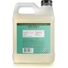 imageMRS MEYERS CLEAN DAY Hand Soap Refill Made with Essential Oils Biodegradable Formula Basil 33 Fl Oz  Pack Of 2Basil