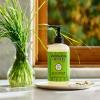 imageMRS MEYERS CLEAN DAY Liquid Hand Soap Tomato Vine Scent 125 Ounce Bottle125 Fl Oz