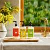 imageMRS MEYERS CLEAN DAY Liquid Hand Soap Tomato Vine Scent 125 Ounce Bottle125 Fl Oz
