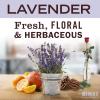 imageMRS MEYERS CLEAN DAY MultiSurface Cleaner Concentrate Use to Clean Floors Tile Counters Lavender 32 fl oz64 Fl Oz Pack of 1