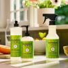 imageMRS MEYERS CLEAN DAY MultiSurface Everyday Cleaner Fresh Cut Grass Scent 16 Ounce Bottle16 Fl Oz Pack of 1