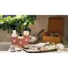 imageMRS MEYERS CLEAN DAY MultiSurface Everyday Cleaner Limited Edition Gingerbread Scent 16 Ounce Bottle