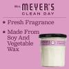 imageMRS MEYERS CLEAN DAY Soy Aromatherapy Candle 35 Hour Burn Time Made with Soy Wax and Essential Oils Limited Edition Apple Cider 72 oz  Pack of 2Peony