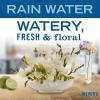 imageMRS MEYERS CLEAN DAY foaming Hand Soap Rainwater Scent 10 Fl Oz Pack of 1Rain Water