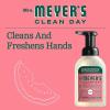 imageMrs MEYERS CLEAN DAY Foaming Hand Soap Dispenser ampamp Concentrate Starter Kit1 Glass Dispenser 10 Fl Oz ampamp 2 Concentrated Refills 2 FlOz eachRain Water Makes 20 Fl Oz of Foaming Soap Total10 Ounce Pack of 1
