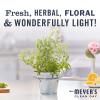 imageMrs MEYERS CLEAN DAY Foaming Hand Soap Dispenser ampamp Concentrate Starter Kit1 Glass Dispenser 10 Fl Oz ampamp 2 Concentrated Refills 2 FlOz eachRain Water Makes 20 Fl Oz of Foaming Soap Total167 Ounce Pack of 6