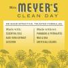 imageMrs MEYERS CLEAN DAY Liquid Dish Soap Tomato Vine Scent 16 Ounce Bottle16 Fl Oz Pack of 1