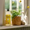 imageMrs MEYERS CLEAN DAY Liquid Dish Soap Tomato Vine Scent 16 Ounce Bottle16 Fl Oz Pack of 1