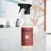 imageMrs MEYERS CLEAN DAY MultiSurface Everyday Cleaner Fall Leaves Scent 16 fl oz
