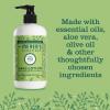 imageMrs MEYERS Clean Day Hand Lotion Iowa Pine Scent 12 Ounce Bottle
