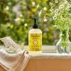 imageMrs MEYERS Clean Day Liquid Hand Soap Blueberry Scent 125 Ounce Bottle Pack of 3Dandelion