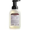 imageMrs Meyers Foaming Hand Soap Lavender 10 Fluid Pack1