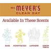 imageMRS MEYERS CLEAN DAY Liquid Dish Soap Biodegradable Formula Limited Edition Iowa Pine 16 fl oz16 Fl Oz Pack of 1
