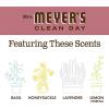 imageMRS MEYERS CLEAN DAY Liquid Dish Soap Biodegradable Formula Limited Edition Iowa Pine 16 fl oz16 Fl Oz Pack of 1