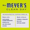 imageMRS MEYERS CLEAN DAY Liquid Dish Soap Biodegradable Formula Limited Edition Iowa Pine 16 fl oz16 Fl Oz Pack of 1