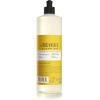 imageMRS MEYERS CLEAN DAY Liquid Dish Soap Biodegradable Formula Limited Edition Iowa Pine 16 fl oz16 Fl Oz Pack of 1