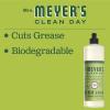imageMRS MEYERS CLEAN DAY Liquid Dish Soap Biodegradable Formula Limited Edition Iowa Pine 16 fl oz16 Fl Oz Pack of 1