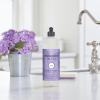 imageMRS MEYERS CLEAN DAY Liquid Dish Soap Biodegradable Formula Limited Edition Iowa Pine 16 fl oz16 Fl Oz Pack of 1