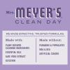 imageMRS MEYERS CLEAN DAY Liquid Dish Soap Biodegradable Formula Limited Edition Iowa Pine 16 fl oz16 Fl Oz Pack of 1