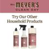 imageMRS MEYERS CLEAN DAY Liquid Dish Soap Biodegradable Formula Limited Edition Iowa Pine 16 fl oz16 Fl Oz Pack of 1