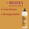 imageMRS MEYERS CLEAN DAY Liquid Dish Soap Biodegradable Formula Limited Edition Iowa Pine 16 fl oz16 Fl Oz Pack of 1