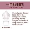 imageMRS MEYERS CLEAN DAY Liquid Dish Soap Biodegradable Formula Limited Edition Iowa Pine 16 fl oz16 Fl Oz Pack of 1