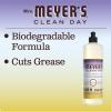 imageMRS MEYERS CLEAN DAY Liquid Dish Soap Biodegradable Formula Limited Edition Iowa Pine 16 fl oz16 Fl Oz Pack of 2