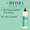 imageMRS MEYERS CLEAN DAY Liquid Dish Soap Biodegradable Formula Limited Edition Iowa Pine 16 fl oz16 Fl Oz Pack of 3