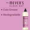imageMRS MEYERS CLEAN DAY Liquid Dish Soap Biodegradable Formula Limited Edition Iowa Pine 16 fl oz16 Fl Oz Pack of 3