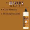 imageMRS MEYERS CLEAN DAY Liquid Dish Soap Biodegradable Formula Limited Edition Iowa Pine 16 fl oz16 Fl Oz Pack of 3