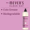 imageMRS MEYERS CLEAN DAY Liquid Dish Soap Biodegradable Formula Limited Edition Iowa Pine 16 fl oz16 Fl Oz Pack of 6