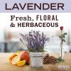 imageMRS MEYERS CLEAN DAY Liquid Dish Soap Biodegradable Formula Limited Edition Iowa Pine 16 fl oz16 Fl Oz Pack of 6