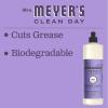 imageMRS MEYERS CLEAN DAY Liquid Dish Soap Biodegradable Formula Limited Edition Iowa Pine 16 fl oz16 Fl Oz Pack of 6