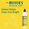 imageMRS MEYERS CLEAN DAY Liquid Dish Soap Biodegradable Formula Limited Edition Iowa Pine 16 fl oz16 Ounce Pack of 1